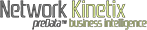 Network Kinetix logo